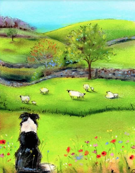 Hills & Tails